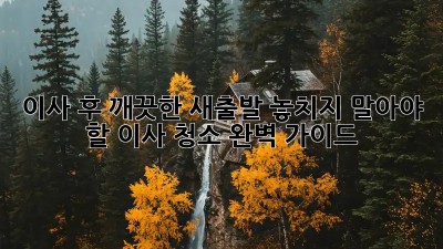 이사 후 깨끗한 새출발! 놓치지 말아야 할 이사 청소 완벽 가이드