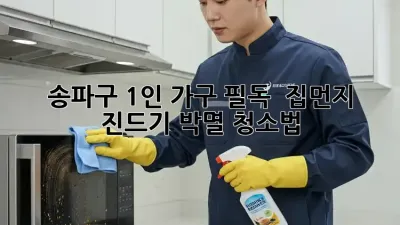 송파구 1인 가구 필독! 🏠 집먼지 진드기 박멸 청소법 🛡️