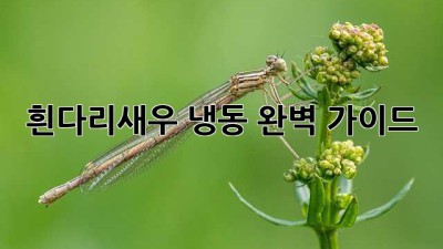 흰다리새우 냉동: 완벽 가이드
